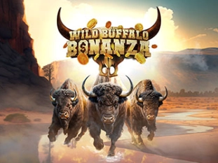 Wild Buffalo Bonanza