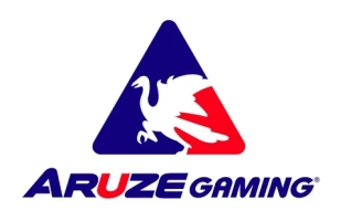 Aruze Gaming